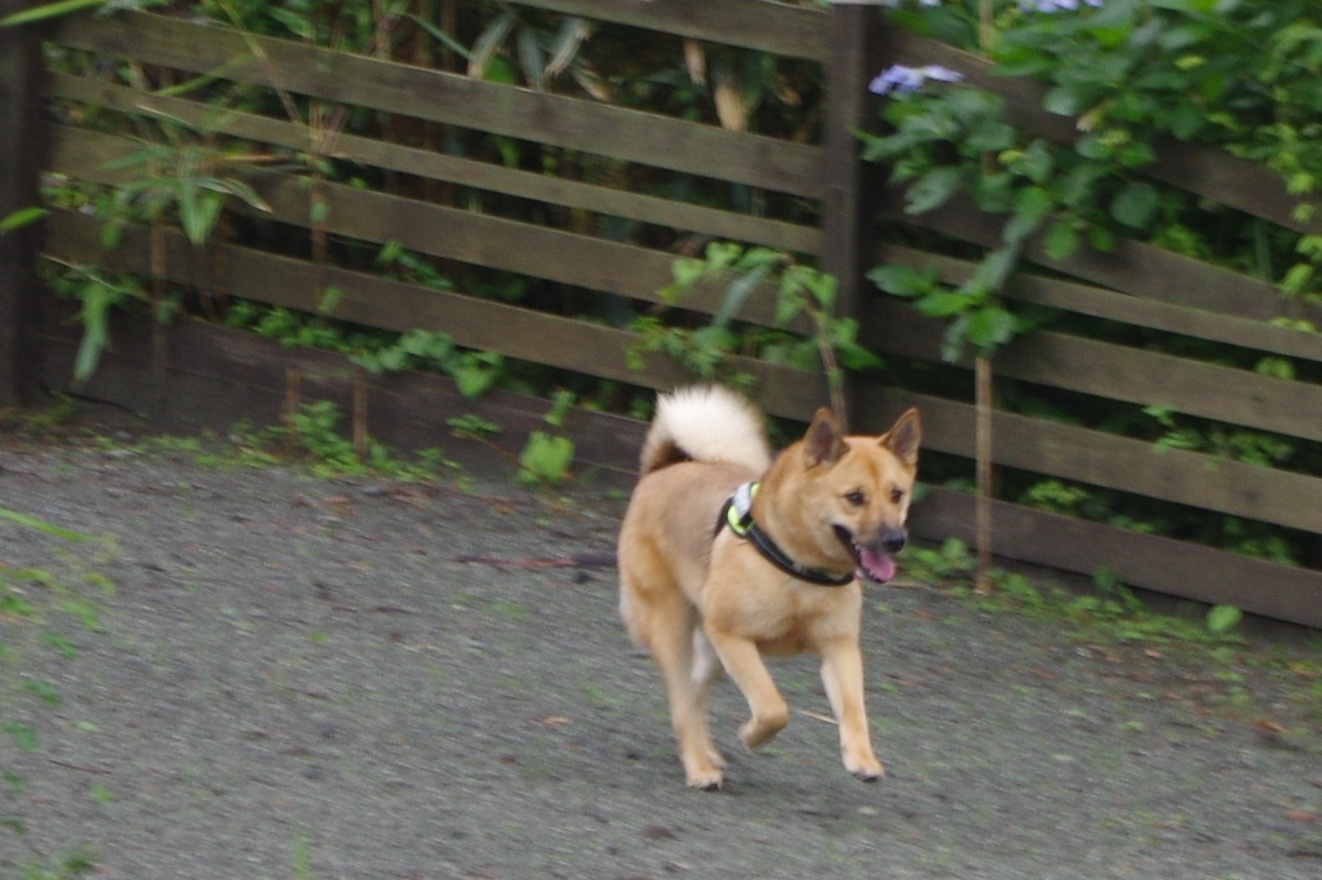 c0364176_18105357.jpeg
