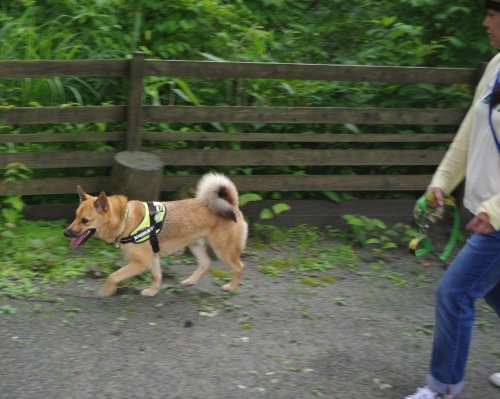 c0364176_18114667.jpeg