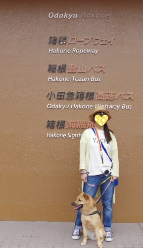 c0364176_18122037.jpeg