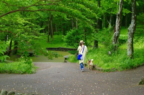 c0364176_18123779.jpeg
