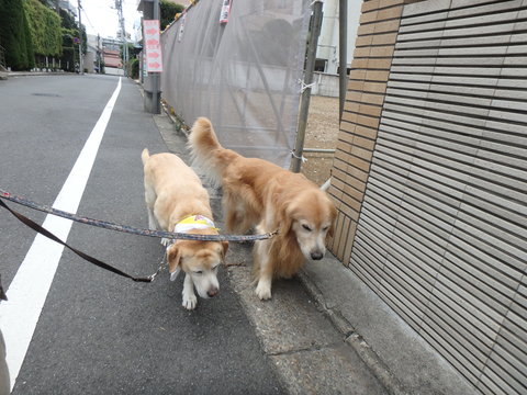 f0052277_013845.jpg
