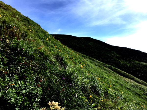 白山登山_d0182188_16492213.jpg