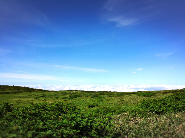 d0182188_16492377.jpg
