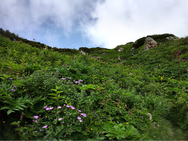 白山登山_d0182188_17035908.jpg