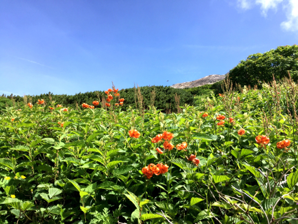 白山登山_d0182188_18352975.jpg