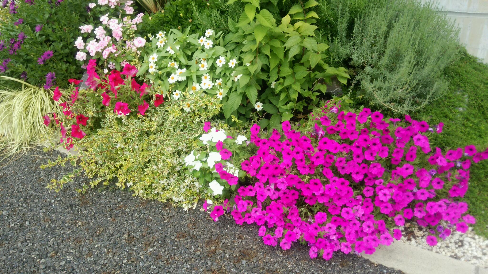 f0363002_17241051.jpg