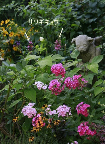 a0123003_2236405.jpg