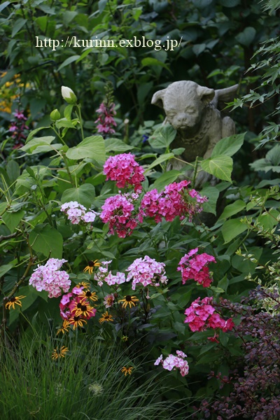 a0123003_2291130.jpg