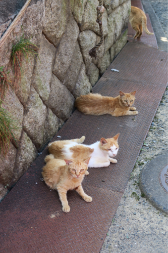 海界の村を歩く 瀬戸内海 浮島・野島(山口県)_d0147406_14191303.jpg