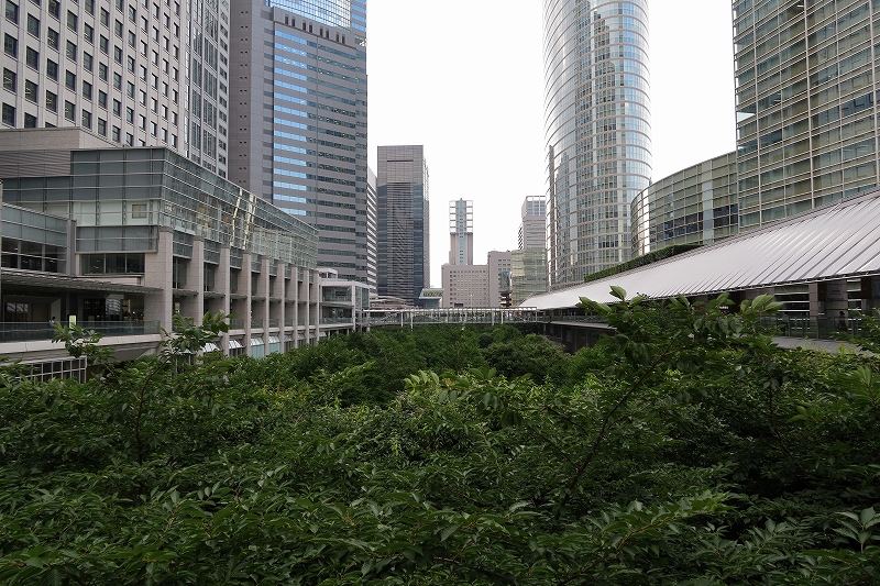 a0159414_11352545.jpg