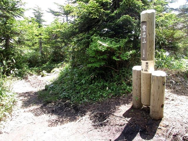 上信越　花と展望の白砂山から八間山を歩く   　 Mount Shirasuna in Jōshin\'etsu-kōgen National Park_f0308721_22582721.jpg