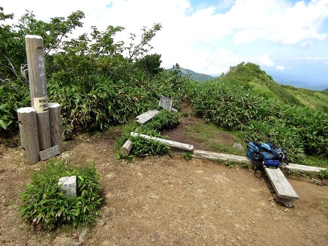 上信越　花と展望の白砂山から八間山を歩く   　 Mount Shirasuna in Jōshin\'etsu-kōgen National Park_f0308721_23102845.jpg