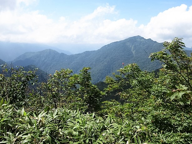 上信越　花と展望の白砂山から八間山を歩く   　 Mount Shirasuna in Jōshin\'etsu-kōgen National Park_f0308721_23124778.jpg