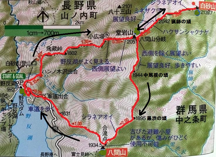 上信越　花と展望の白砂山から八間山を歩く   　 Mount Shirasuna in Jōshin\'etsu-kōgen National Park_f0308721_23221262.jpg