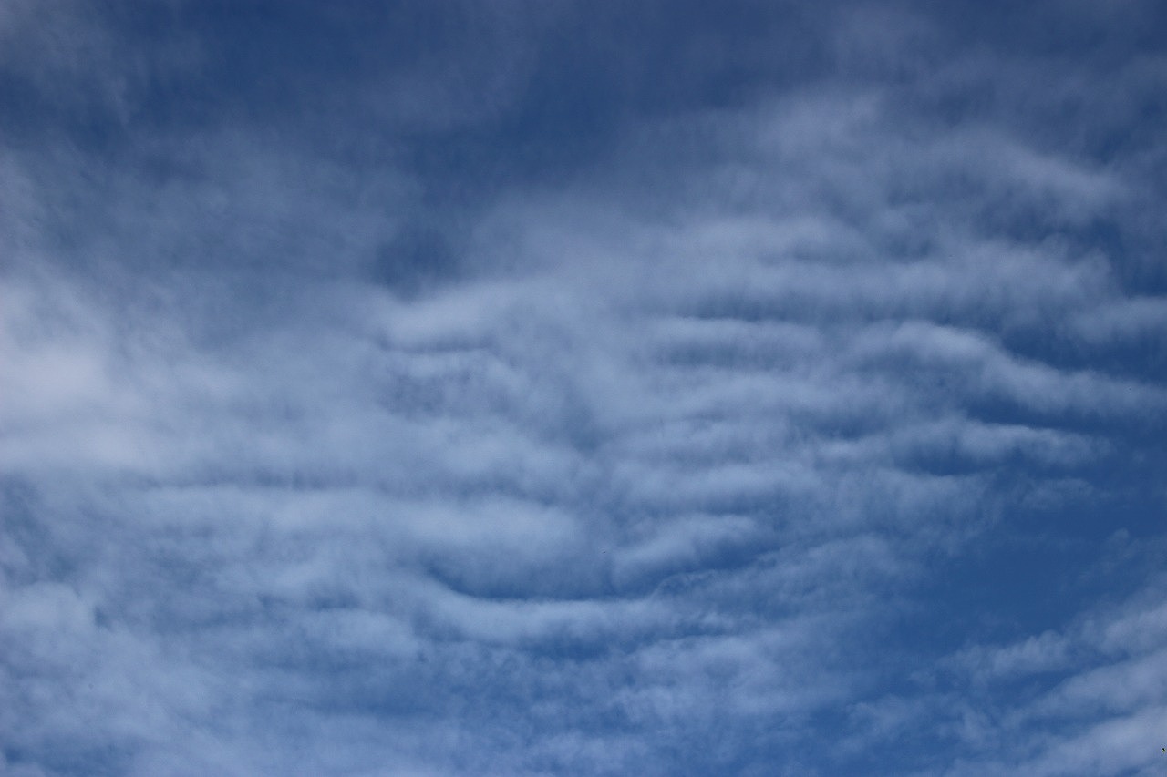 b0162728_20172557.jpg