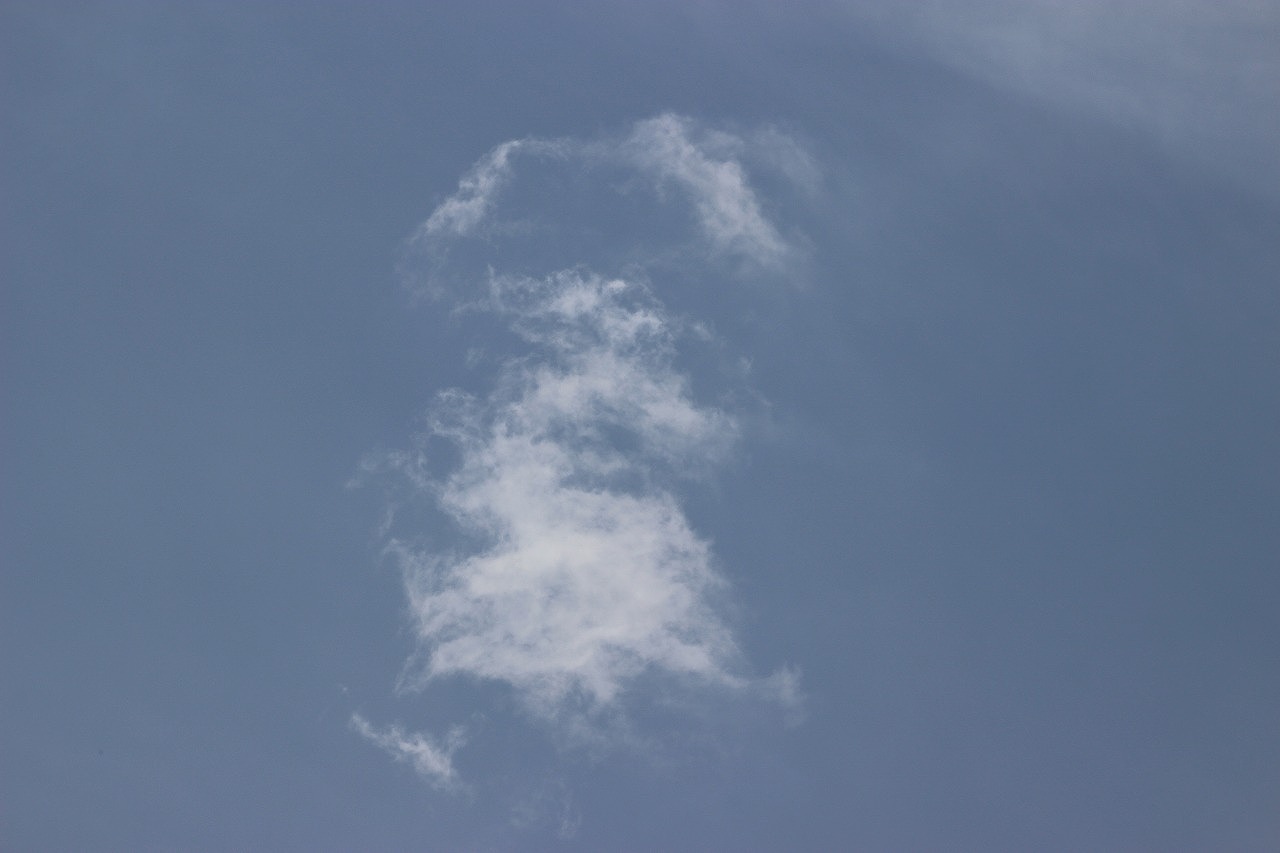 b0162728_20181866.jpg