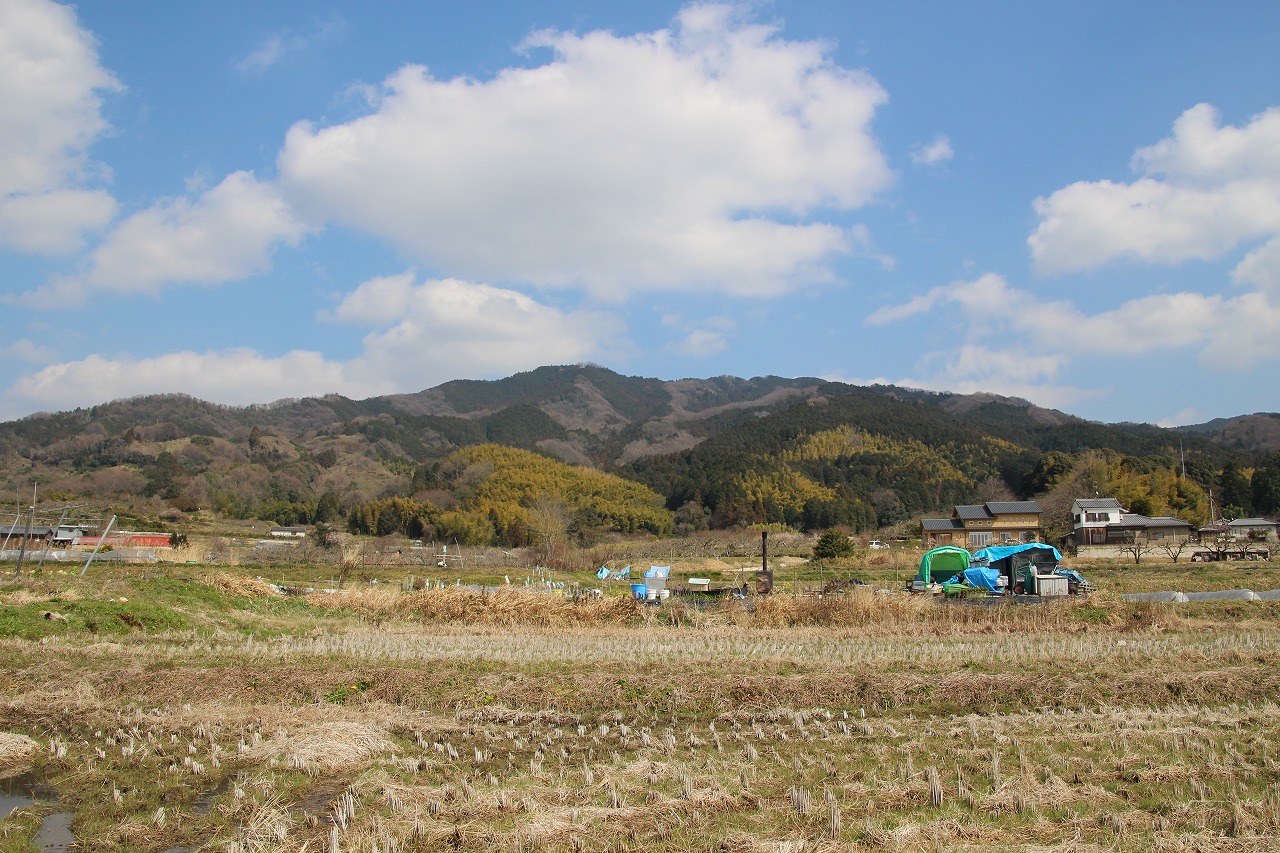 b0162728_2019553.jpg
