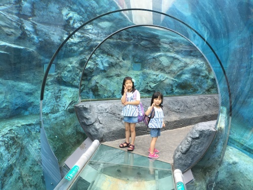 b0132630_20144169.jpeg