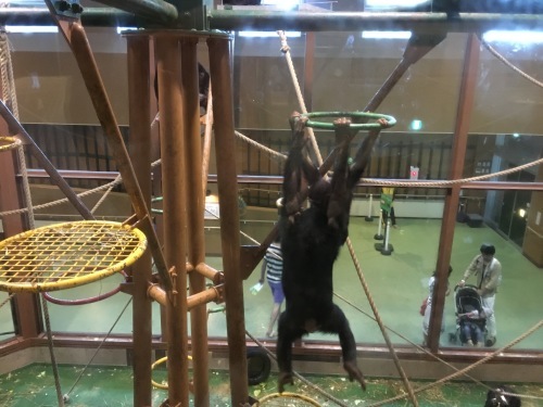 b0132630_20171853.jpeg