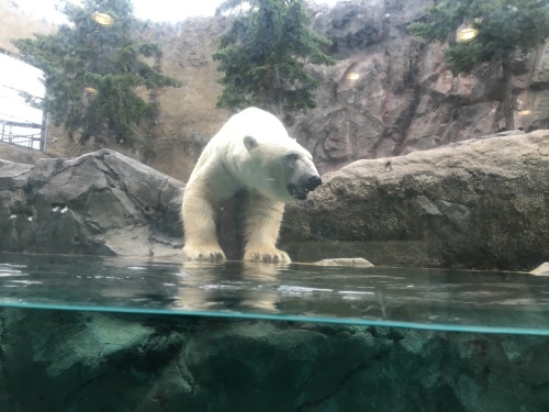 b0132630_20211250.jpeg