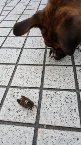 d0269832_09140697.jpeg