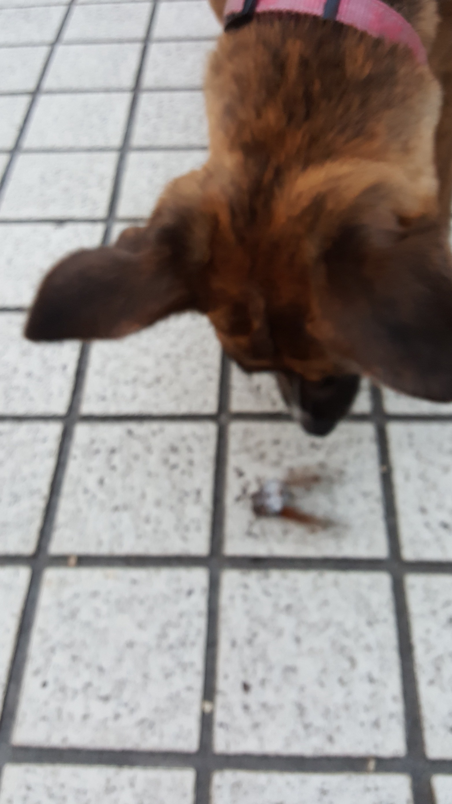 d0269832_09142644.jpeg