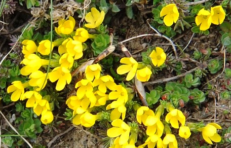 c0051938_9201666.jpg