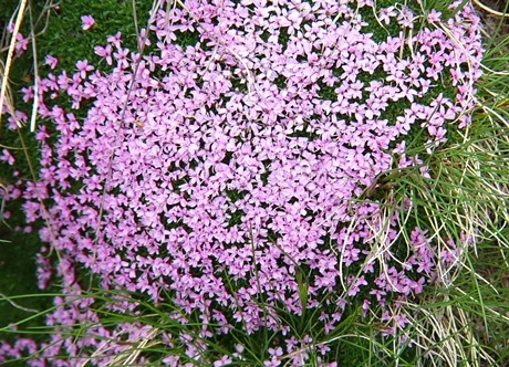 c0051938_9203855.jpg