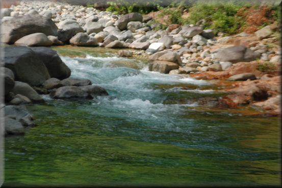 f0363141_14776.jpg