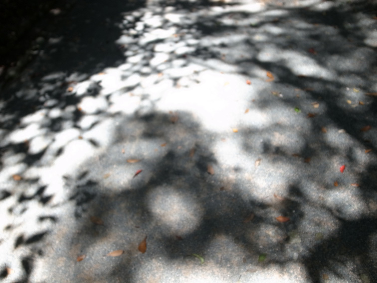 a0325642_00231547.jpg