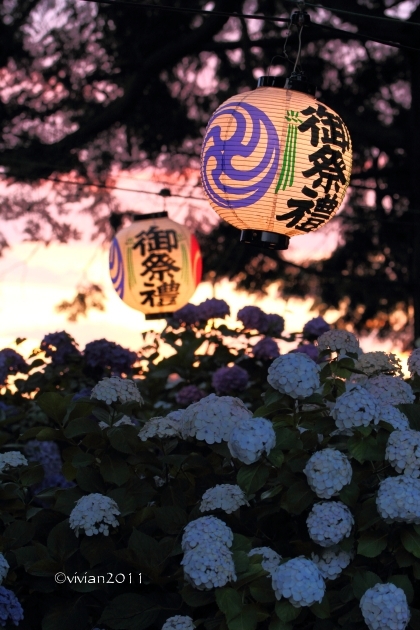 ダメ出し写真館 その25_e0227942_21450315.jpg
