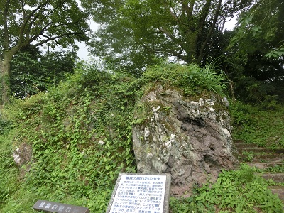 中道往還~煮貝の道~第4回_f0019247_94701.jpg