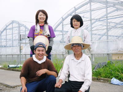 熊本セロリ「清正人参」 12月上旬からの出荷に向け、苗床の様子を現地取材_a0254656_19252354.jpg