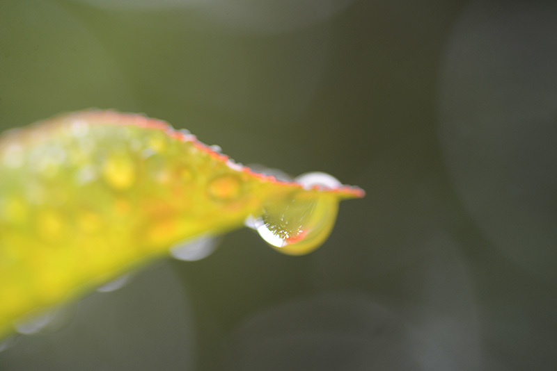 今日は雨でした　☂ー2_b0031558_23382968.jpg