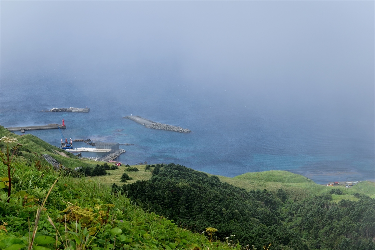 ア・モーレ礼文島～レブンウスユキソウを愛でる～_b0281366_13364876.jpg