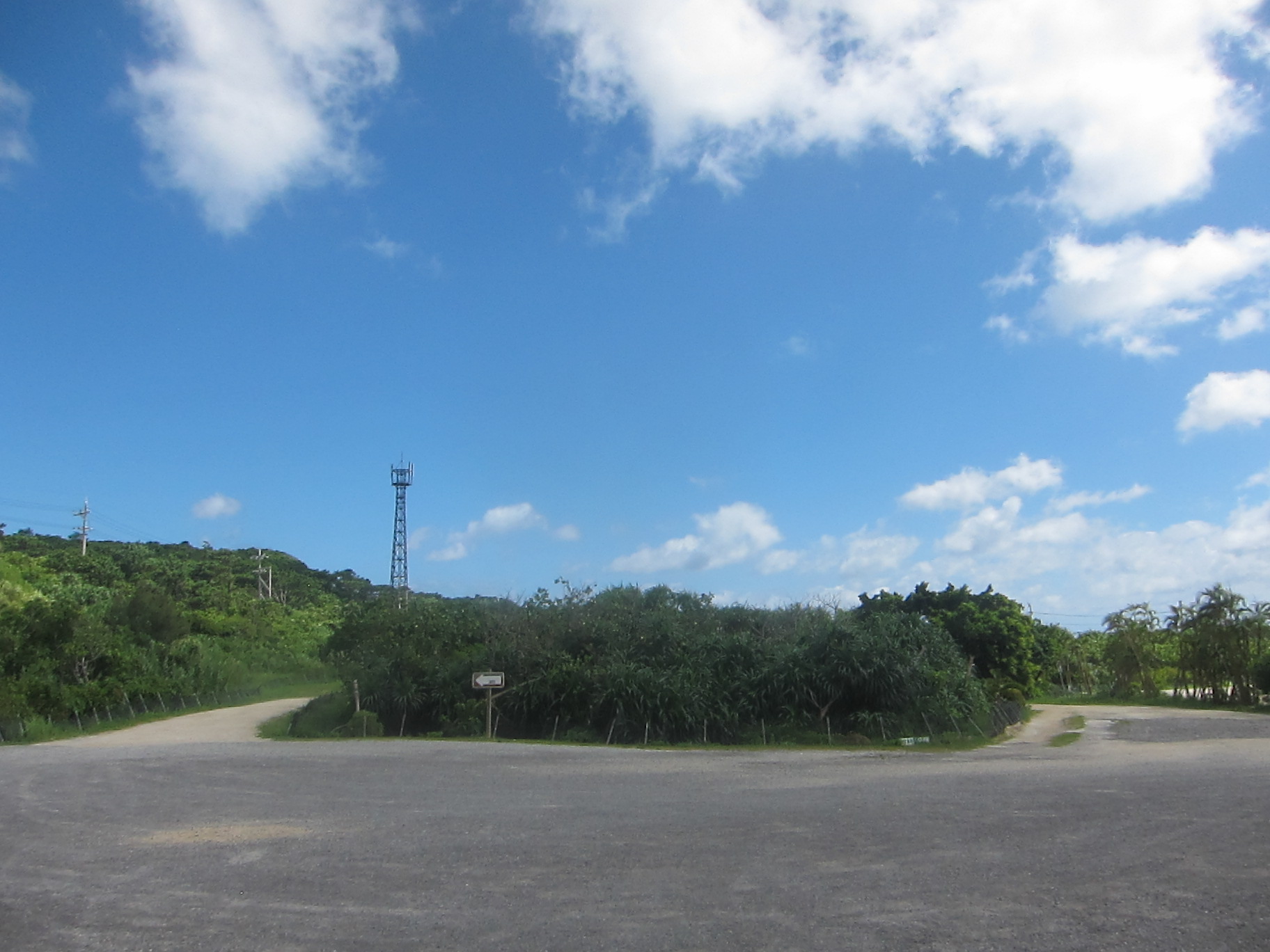 Iriomote Island-3._c0153966_17441321.jpg