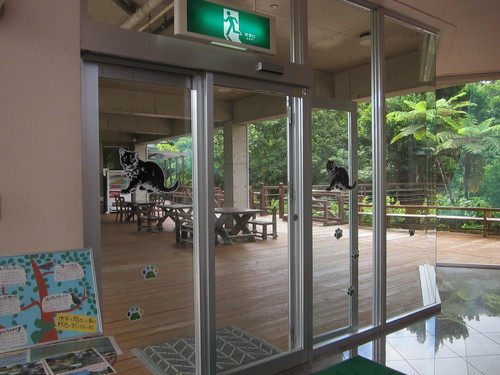 Iriomote Island-3._c0153966_17574260.jpg