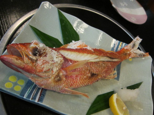 Iriomote Island-3._c0153966_18122765.jpg