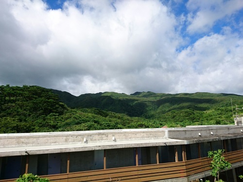 Iriomote Island-3._c0153966_18274929.jpeg