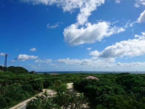 Iriomote Island-3._c0153966_18281402.jpeg