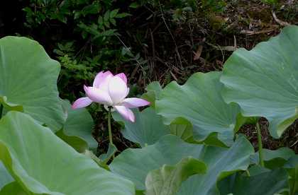 c0229483_040572.jpg