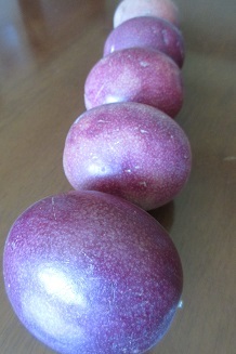 パッションフルーツ_c0204385_17144871.jpg