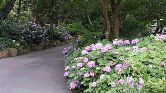 a0049287_20121331.jpg