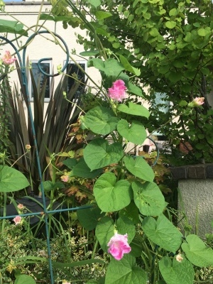 c0096287_15195851.jpeg