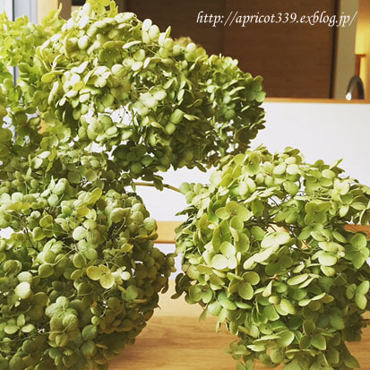 紫陽花のドライフラワーでリース作り_c0293787_17100701.jpg