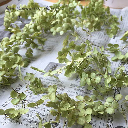 紫陽花のドライフラワーでリース作り_c0293787_17124168.jpg