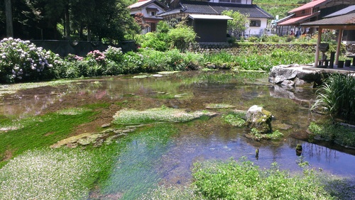 鳥取の水_e0087595_19502017.jpg