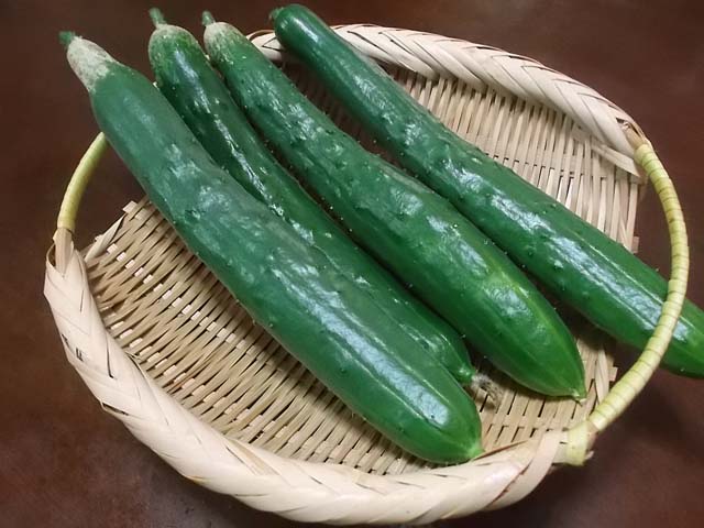 朝一番でパン屋さんへ_f0019498_9491999.jpg