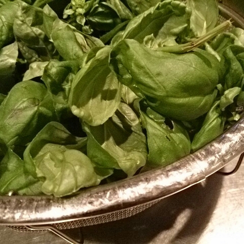 a0216805_09253312.jpg