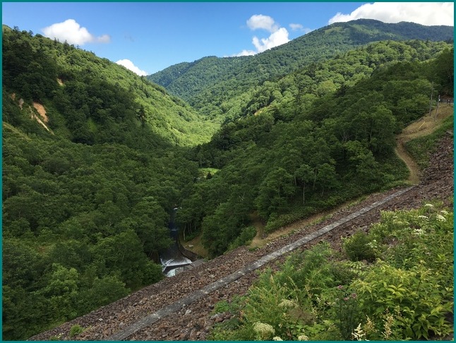 c0125105_8155337.jpg